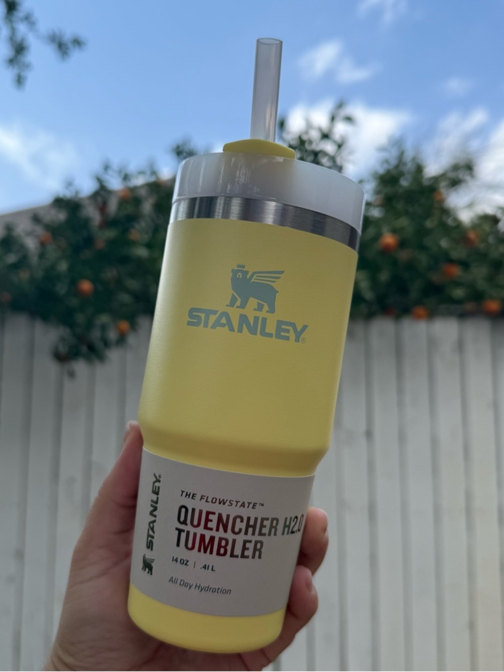 STANLEY POMELO 14 oz